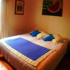 Nilontraro in Santiago, Chile from 208$, photos, reviews - zenhotels.com photo 5