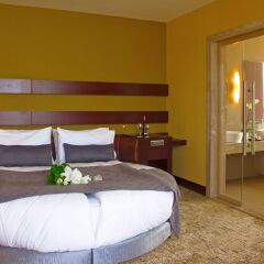 The Green Park Pendik Hotel & Convention Center Турция, Стамбул - 1 отзыв об отеле, цены и фото номеров - забронировать отель The Green Park Pendik Hotel & Convention Center онлайн комната для гостей фото 5