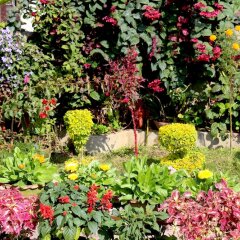 Отель Orchid Непал, Покхара - отзывы, цены и фото номеров - забронировать отель Orchid онлайн фото 11