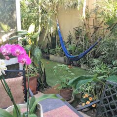 Отель Dickinson Guest House спортивное сооружение