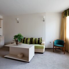 Апартаменты One Bedroom Apartment with Balcony комната для гостей фото 2