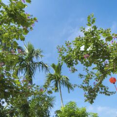 Отель Luna Villa Homestay пляж