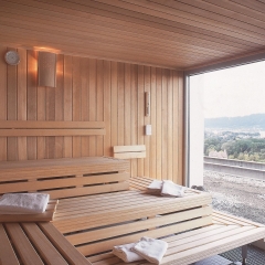 Отель Swissotel Zurich сауна