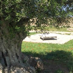 Отель Masseria Gelsi Лечче фото 3