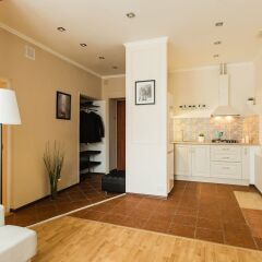 Гостиница Charming Apartments near Hermitage в Санкт-Петербурге отзывы, цены и фото номеров - забронировать гостиницу Charming Apartments near Hermitage онлайн Санкт-Петербург в номере фото 2