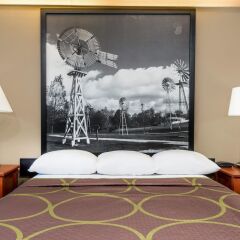 Отель Super 8 by Wyndham Jasper удобства в номере