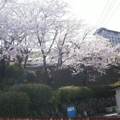 Umikaoru Yado Hotel New Matsumi Беппу