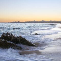 Отель Raintrees Club Regina Los Cabos Мексика, Сан-Хосе-дель-Кабо - отзывы, цены и фото номеров - забронировать отель Raintrees Club Regina Los Cabos онлайн пляж