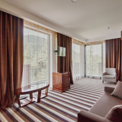 Отель Afon Resort Hotel Абхазия, Новый Афон - отзывы, цены и фото номеров - забронировать отель Afon Resort Hotel онлайн комната для гостей фото 4