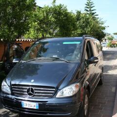 Отель Euro House Inn Airport городской автобус