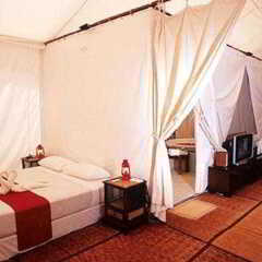Отель Khao Kheaw es-ta-te Camping Resort & Safari спа фото 2