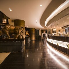 Отель Amman Rotana Иордания, Амман - 1 отзыв об отеле, цены и фото номеров - забронировать отель Amman Rotana онлайн фото 8