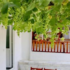 Sulo Pansiyon Турция, Патара - отзывы, цены и фото номеров - забронировать отель Sulo Pansiyon онлайн фото 4