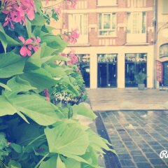 Отель ES Hostel Бельгия, Брюссель - 1 отзыв об отеле, цены и фото номеров - забронировать отель ES Hostel онлайн интерьер отеля