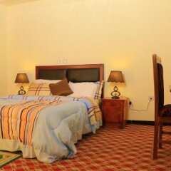 Melala Addis Bed & Breakfast in Addis Ababa, Ethiopia from 141$, photos, reviews - zenhotels.com room amenities photo 2