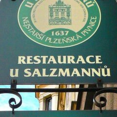 Отель Penzion U Salzmannu Пльзень развлечения