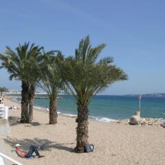 Отель Suite Affaire Cannes Vieux Port Франция, Канны - 8 отзывов об отеле, цены и фото номеров - забронировать отель Suite Affaire Cannes Vieux Port онлайн пляж фото 2