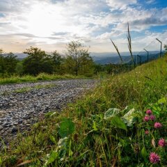 Отель Agriturismo Casa Passerini a Firenze Италия, Лонда - отзывы, цены и фото номеров - забронировать отель Agriturismo Casa Passerini a Firenze онлайн приотельная территория