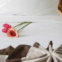 Libra Nha Trang Hotel в номере