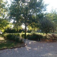 Отель Azienda Agrituristica Santissima Trinità Италия, Будрио - отзывы, цены и фото номеров - забронировать отель Azienda Agrituristica Santissima Trinità онлайн фото 7