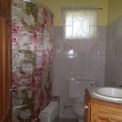 GreenzCove Apartments in Grand Anse, Grenada from 133$, photos, reviews - zenhotels.com bathroom