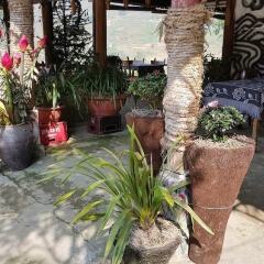 Отель Tavan View Homestay Шапа фото 2