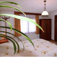 Отель Nenchova Guest House детские мероприятия