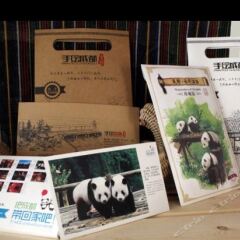 Number 3-1 Youth Hostel Chengdu городской автобус