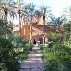 Отель Riad Tagmadart Ferme D'hôte Марокко, Загора - отзывы, цены и фото номеров - забронировать отель Riad Tagmadart Ferme D'hôte онлайн приотельная территория фото 2