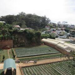 Dalat Friendly Fun Hostel Далат бассейн