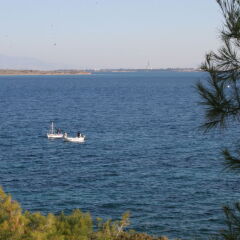 Dionysos Hotel