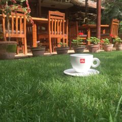 Отель Ambassador Garden Home Непал, Катманду - отзывы, цены и фото номеров - забронировать отель Ambassador Garden Home онлайн фото 4