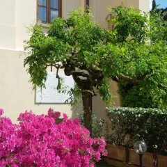 Отель Villa Gabriele DAnnunzio фото 12