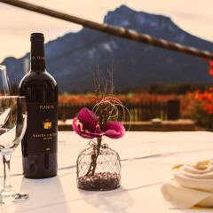 Отель Restaurant Villa Flora Аниф помещение для мероприятий