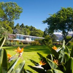 Отель Quinta da Casa Branca Португалия, Фуншал - отзывы, цены и фото номеров - забронировать отель Quinta da Casa Branca онлайн фото 11