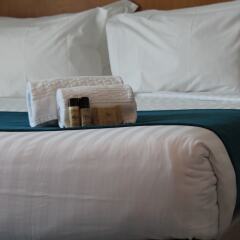 Отель OPOHotel Porto Aeroporto с домашними животными