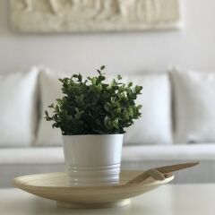 Отель Sand & Sea design apartment Греция, Пефкохори - отзывы, цены и фото номеров - забронировать отель Sand & Sea design apartment онлайн в номере фото 2