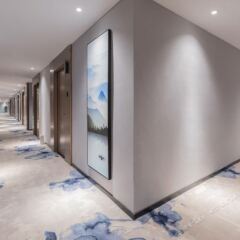 LiQun Light hotel Шэньчжэнь интерьер отеля фото 2