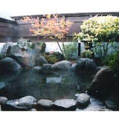 Отель Hasuwa Inn Хидзи