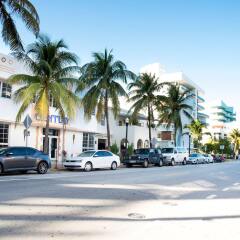 Century Hotel South Beach с домашними животными