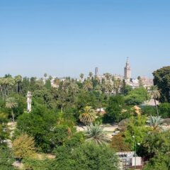 Отель Alcazar Испания, Севилья - отзывы, цены и фото номеров - забронировать отель Alcazar онлайн фото 3