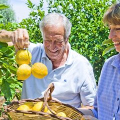 Отель Agriturismo Limoneto Сиракуза приотельная территория