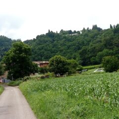 Отель B&b Alla Rotonda Vicenza Италия, Виченца - отзывы, цены и фото номеров - забронировать отель B&b Alla Rotonda Vicenza онлайн приотельная территория