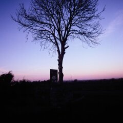 Отель Bunratty Haven фото 2