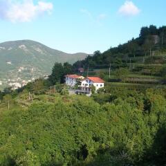 Отель Agriturismo Il Castagno Аджерола приотельная территория