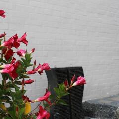 Апартаменты Amalie Bed and Breakfast & Apartments
