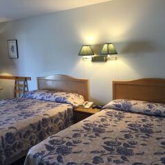 Отель Cariboo Lodge комната для гостей фото 4