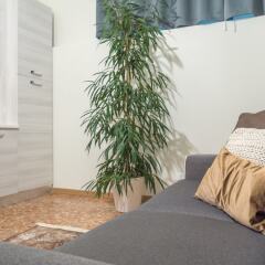 Отель Grand Canal Suites Италия, Венеция - отзывы, цены и фото номеров - забронировать отель Grand Canal Suites онлайн ванная фото 2