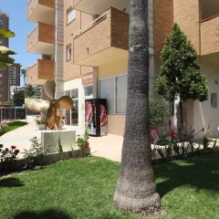 Отель Apartamentos Benimar Испания, Бенидорм - отзывы, цены и фото номеров - забронировать отель Apartamentos Benimar онлайн