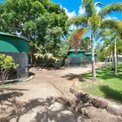Отель Daintree Wild Zoo & Bed and Breakfast фото 13
